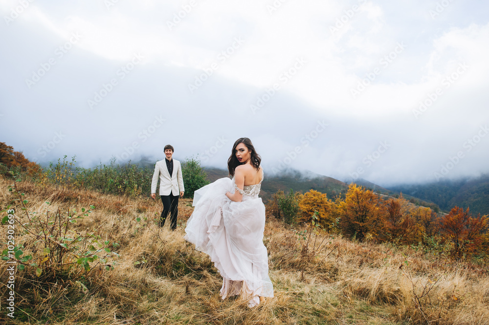 Fototapeta premium happy newly married couple posing in the mountains