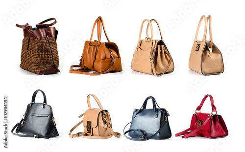 group of leather women handbags isolated on white background photo