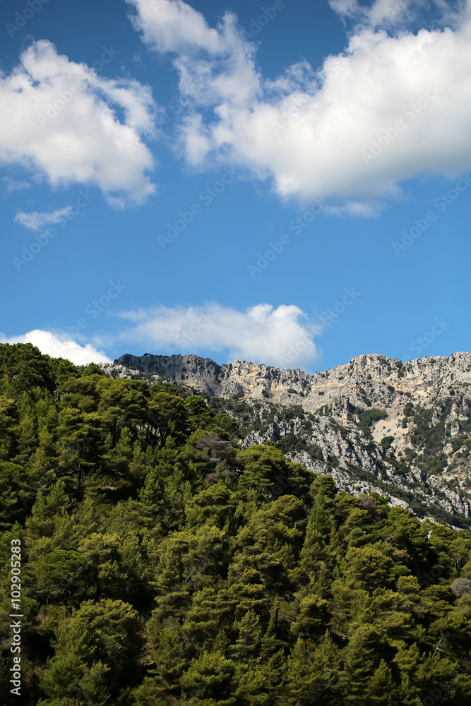 Beautiful mountain scene