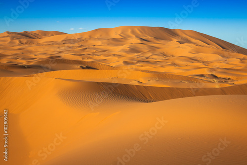 Desert dune at Erg Chebbi near Merzouga in Morocco.