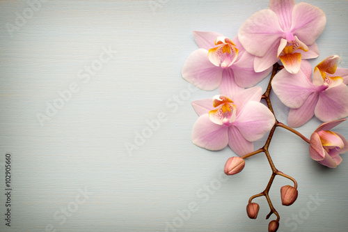 Fototapeta Naklejka Na Ścianę i Meble -  Spa.