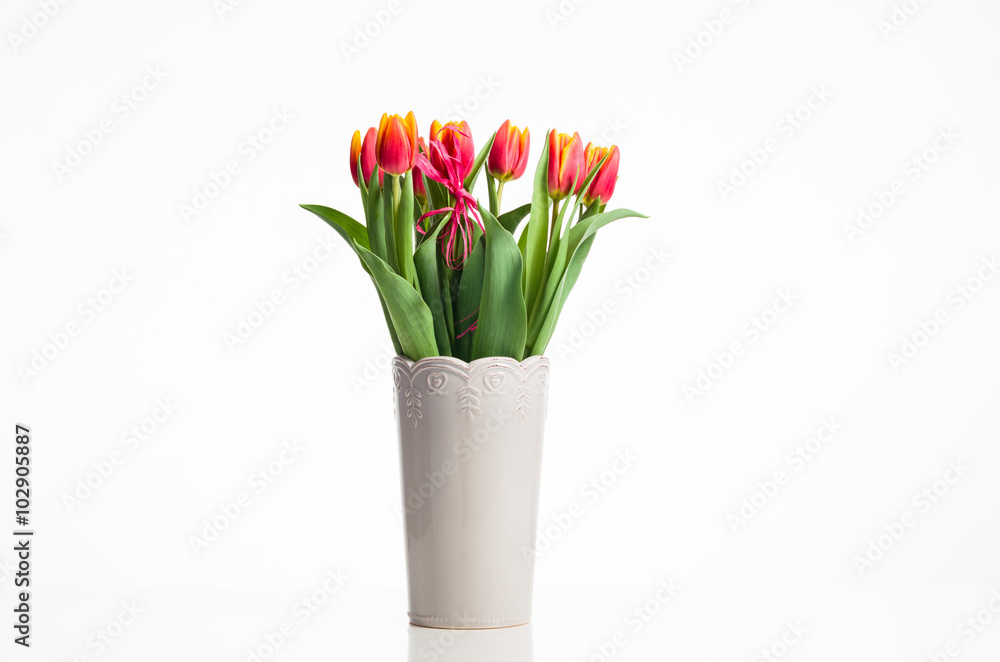 Obraz premium tulips in a vase on a white background