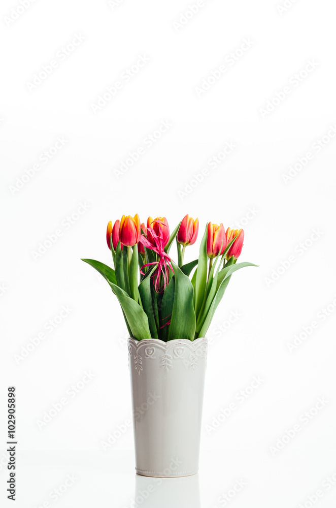 tulips in a vase on a white background