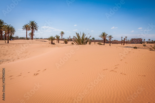 Palm trees and sand dunes in the Sahara Desert, Merzouga, Morocc