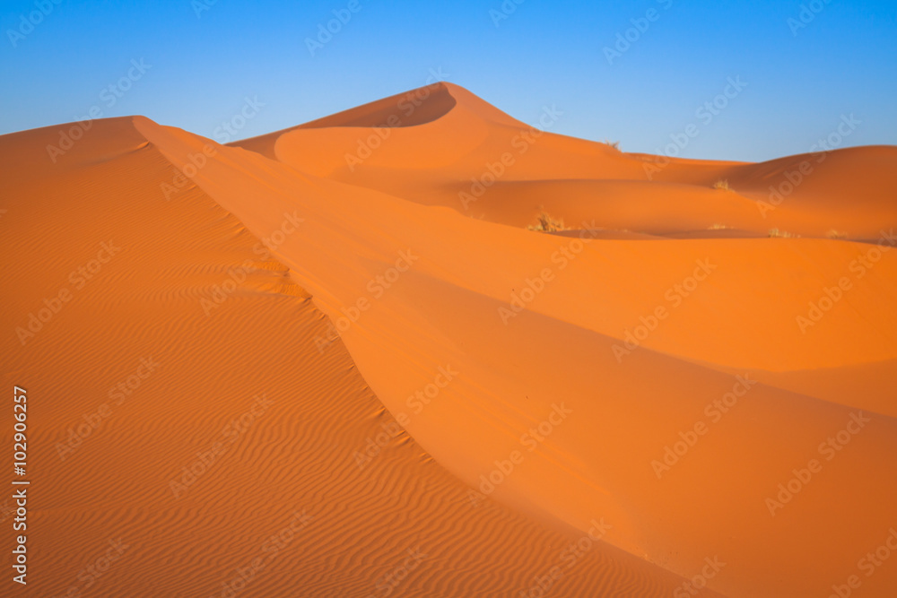 Sand dunes in the Sahara Desert, Merzouga, Morocco