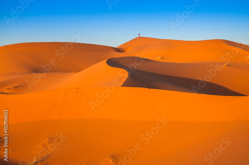 Sand dunes in the Sahara Desert  Merzouga  Morocco