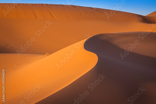 Obraz na płótnie Sand dunes in the Sahara Desert, Merzouga, Morocco w salonie