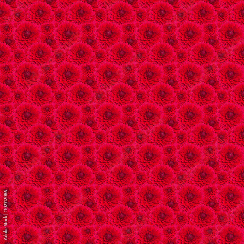 pattern lush red dahlia