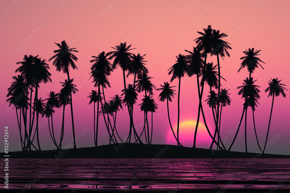 coconut palms island
