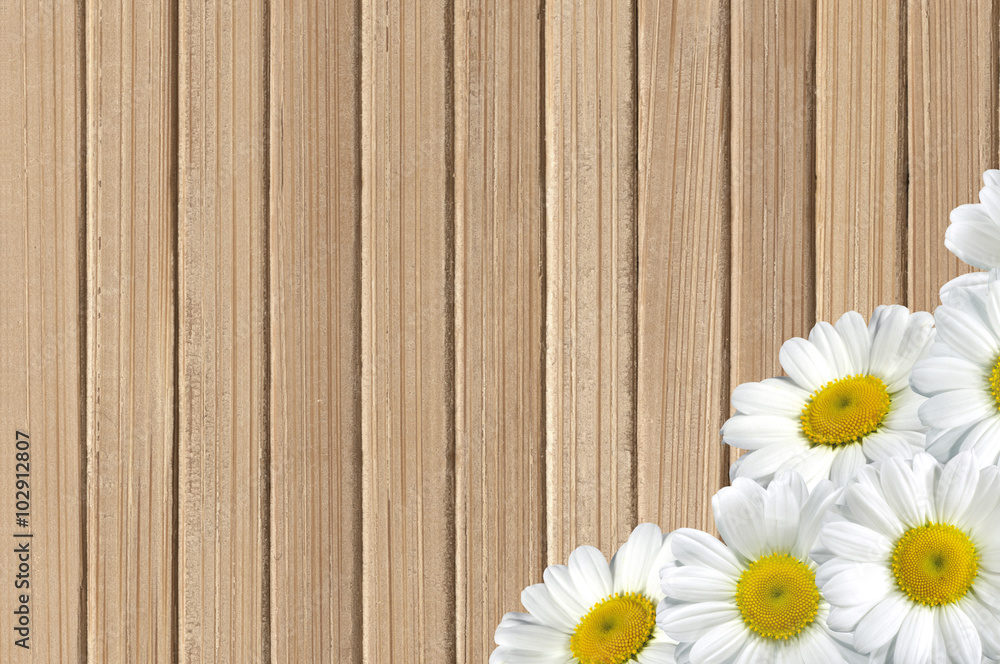 Obraz premium white chamomile flowers on wooden table background