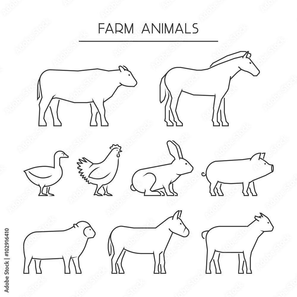 Vector line set of farm animals. Silhouettes animals isolated on