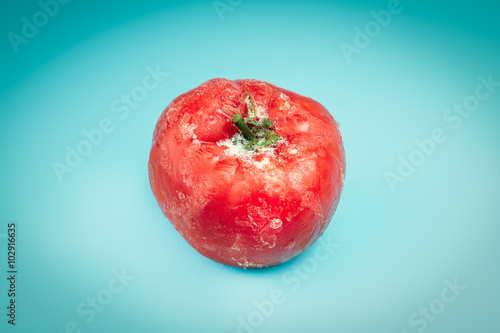 Frozen tomato on blue background