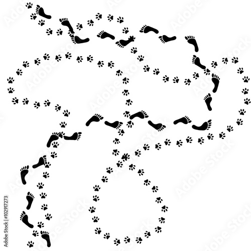 Vector semless pattern, set of human and animal, cat footprints icon. Collection of bare human foots, cat or dog footprint. Design for textile, fabric, invitation and greeting cards, booklets 