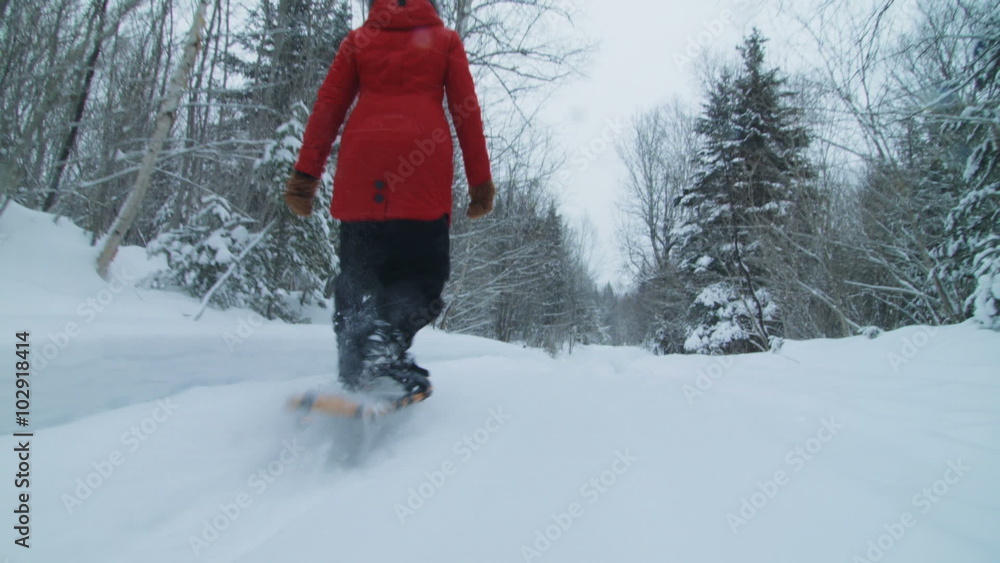 Steadicam Low Angle of Young Woman Walking with Snowshoes in Forest during Winter Steadicam Low Angle of Young Woman Walking with Snowshoes in Forest during Winter