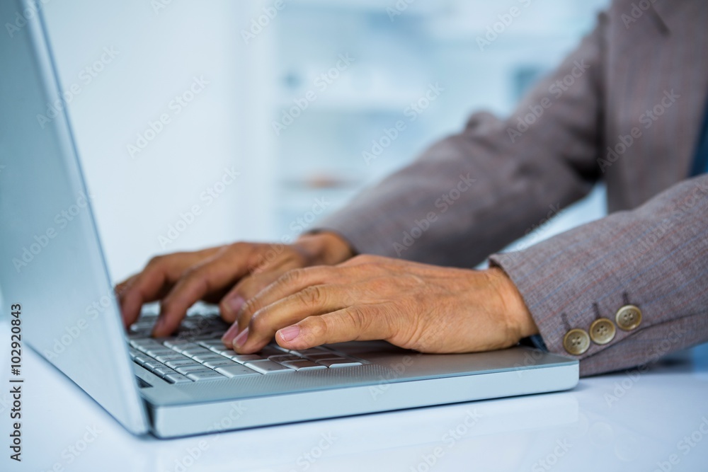 Businessman working on his laptop Businessman working on his laptop