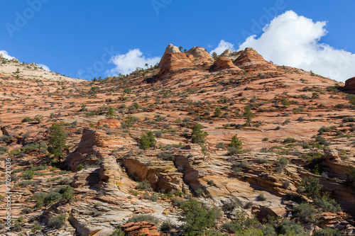 Panoramic view to Zion National Park