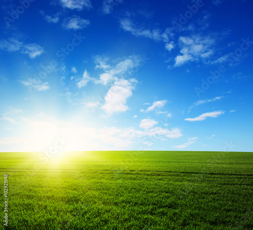  field and sun