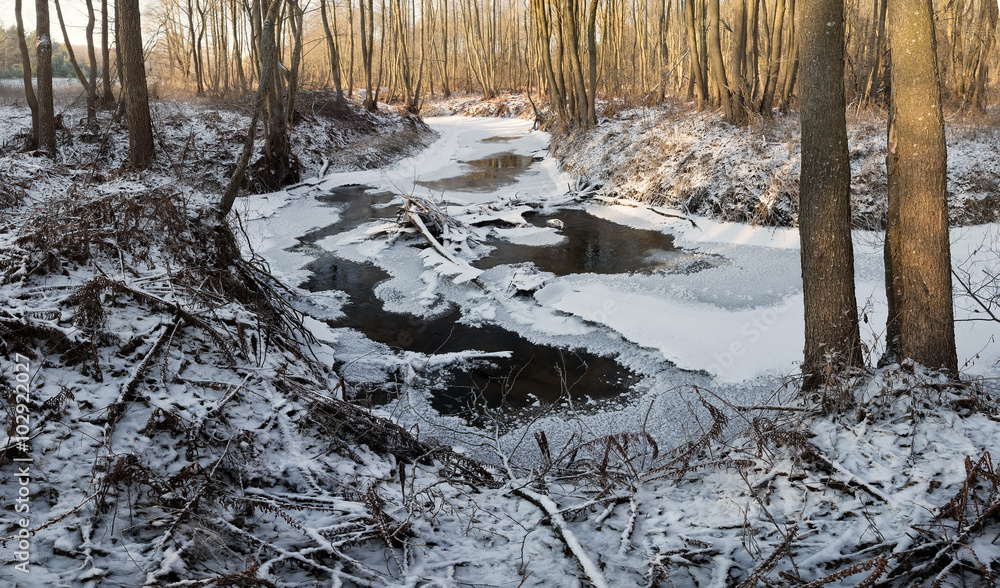 Fototapeta premium Frozen river in winter wonderland