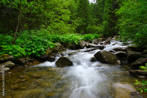 Mountain river