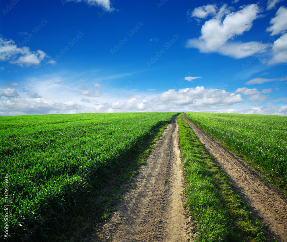 road in field road in field