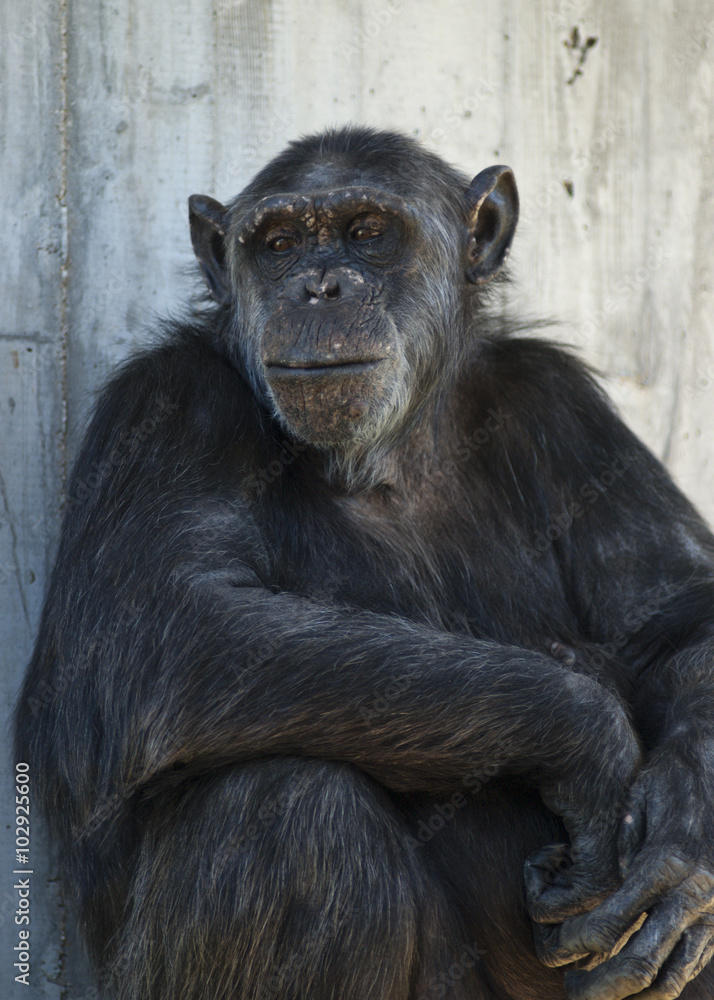 20080512_zoo_Bilderforum_052 20080512_zoo_Bilderforum_052