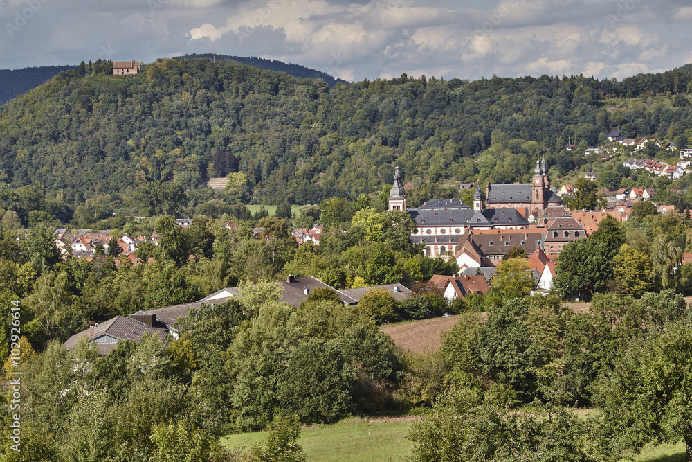 Amorbach; ehem Abteikirche (Bayern)