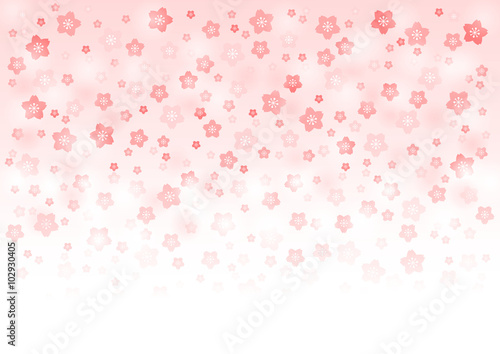 桜の花模様の背景イラスト