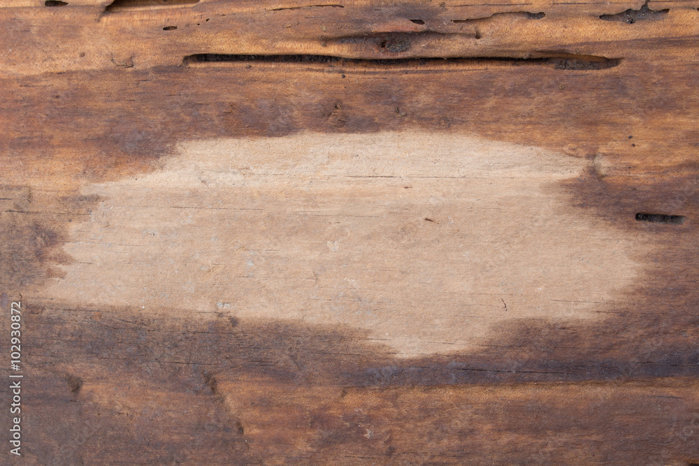 The surface of the wood Both wet and dry The surface of the wood Both wet and dry