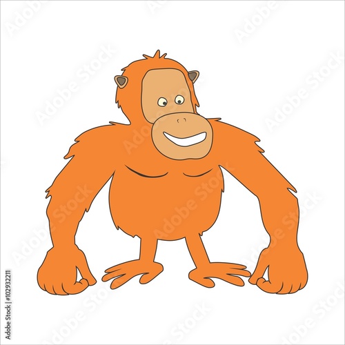 ORANG UTAN