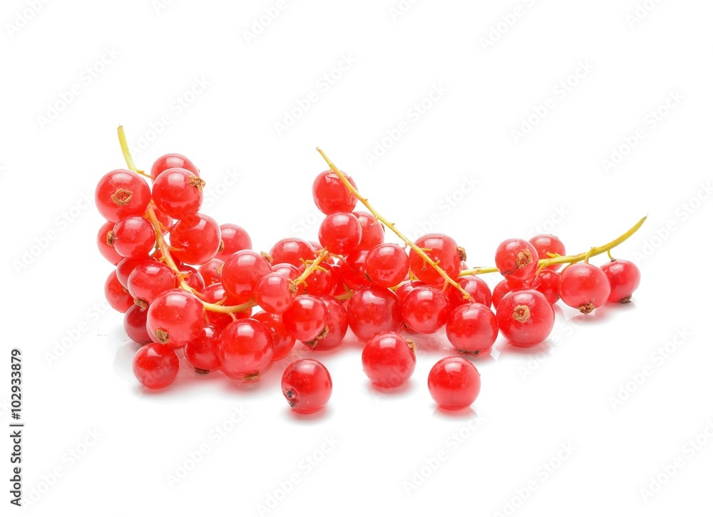 Red Currant isolated on white background Red Currant isolated on white background