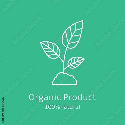 Sprout icon. Organic product banner.