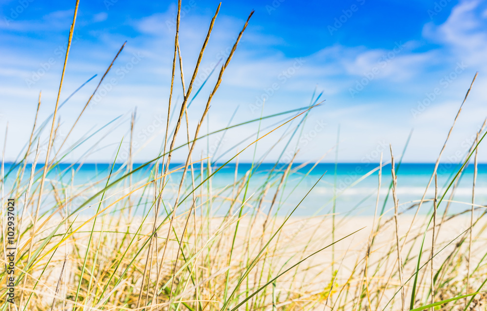 Strand Idylle Ruhe Auszeit Strand Idylle Ruhe Auszeit