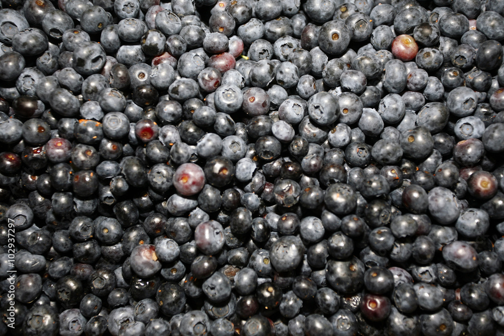 Fresh blueberry texture certified organic blueberries Fresh blueberry texture certified organic blueberries
