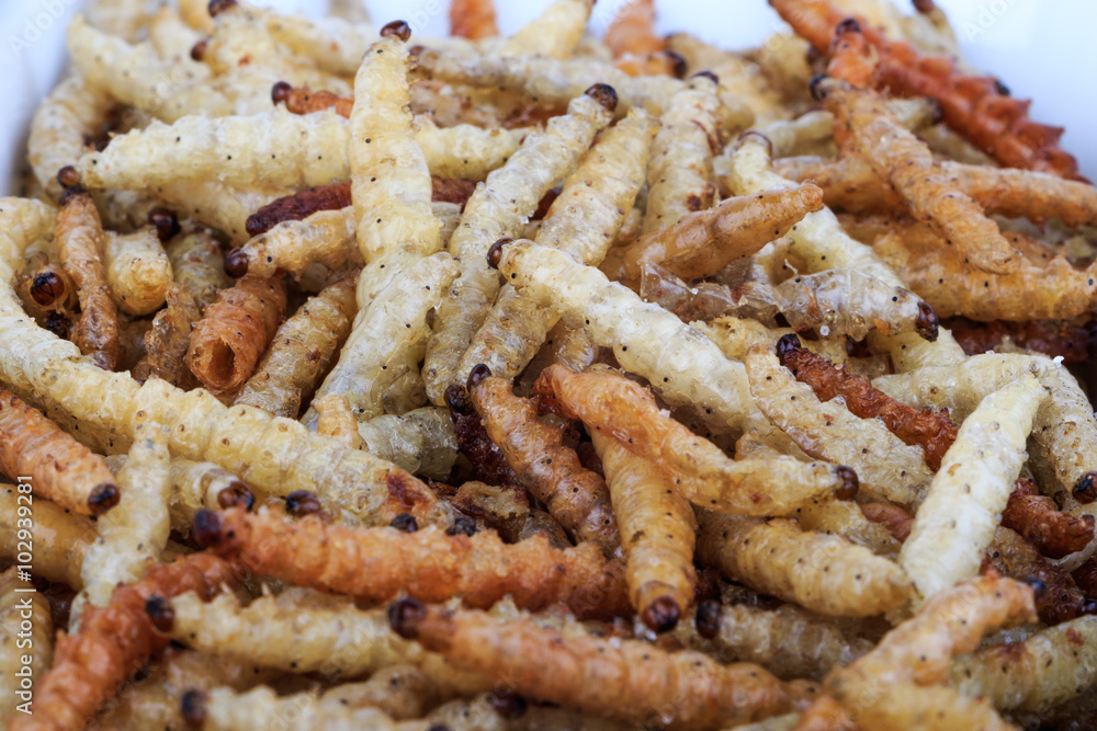 Thai Insects, Fried insects mealworms for snack (Thai people called Express Train). Thai Insects, Fried insects mealworms for snack (Thai people called Express Train).