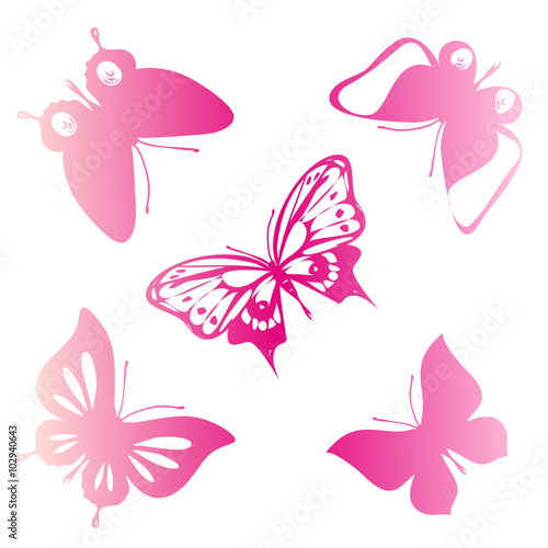 butterflies design