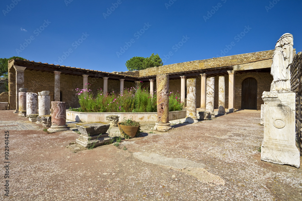 Tunisia. Ancient Carthage. Quarter of the Roman villas - House of the Aviary