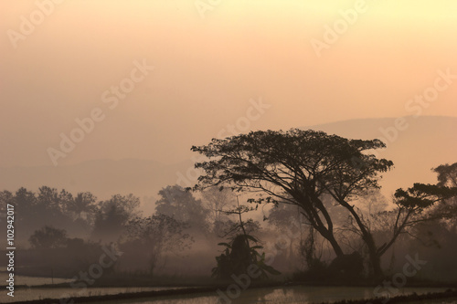 Morning mist over the rice fields, Thailand. Processed in vintage