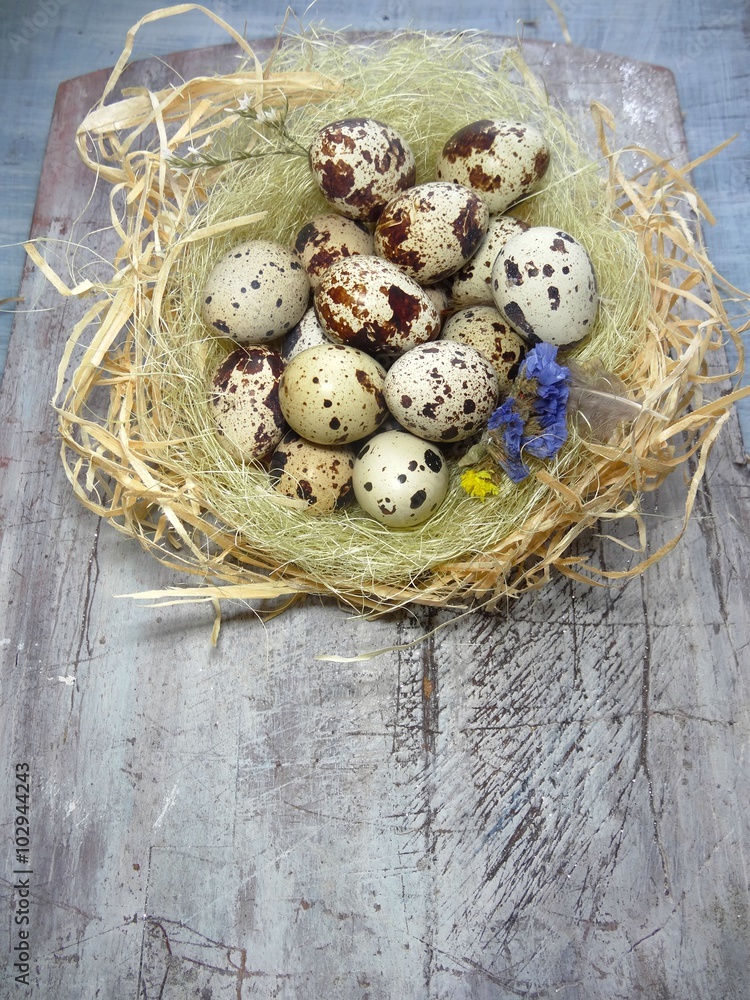 Quail eggs in a nest of straw on a wooden board, selective focus
Quail eggs in a nest of straw on a wooden board, selective focus