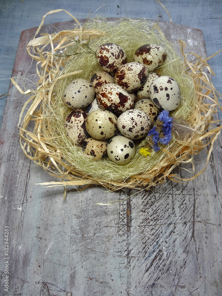 Quail eggs in a nest of straw on a wooden board, selective focus
Quail eggs in a nest of straw on a wooden board, selective focus