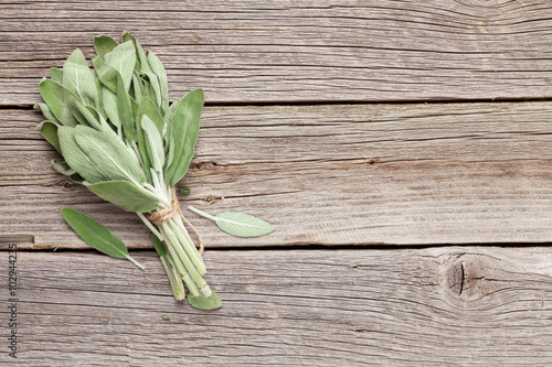 Bunch of garden sage herb