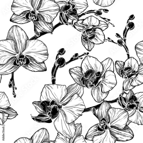 Fototapeta Naklejka Na Ścianę i Meble -  black and white seamless pattern with orchid flowers
