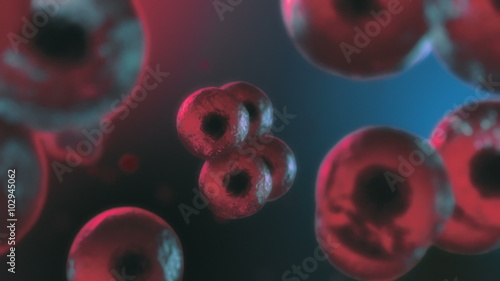 3d cell mitosis. Depth of field. 