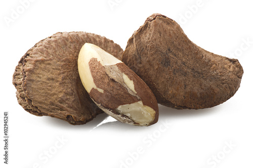 Brazil walnut close up on the white
