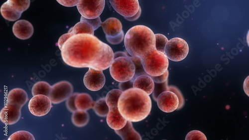 3D dynamic cells multiplying. Depth of field. 