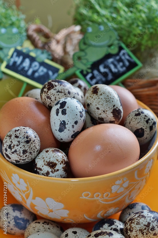 Chicken and quail eggs in colorful porcelain dish,Easter 

