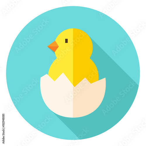 Hatched Chick in Eggshell Circle Icon