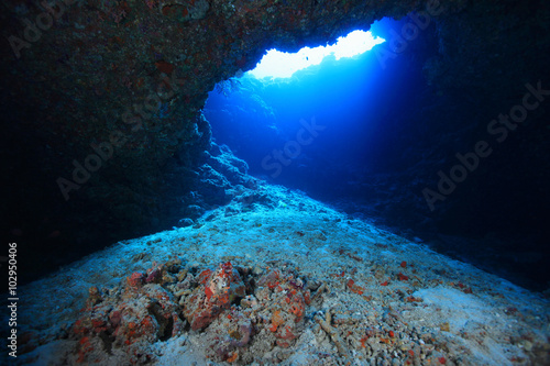 Entrance area of underwater cave 