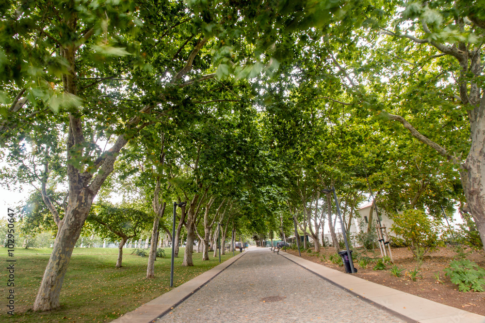 Wide view of the main urban park of the city of Loule, Portugal.