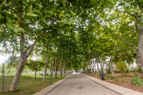 Wide view of the main urban park of the city of Loule  Portugal.