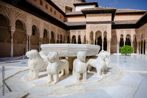 The Court of Lions, Granada, Alhambra, Spain photo